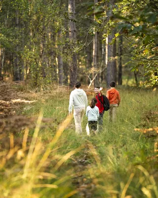 Itinéraire insolite entre histoire et terroir dans le Perche Sarthois