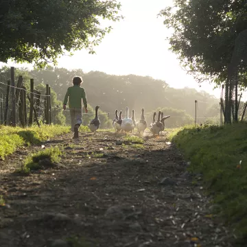 5 expériences inoubliables à vivre à la ferme