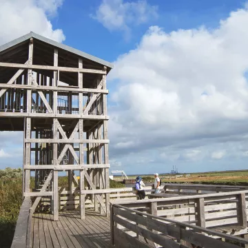 Parcours surprenant sur l'estuaire de la Loire, où l'art rencontre la nature 