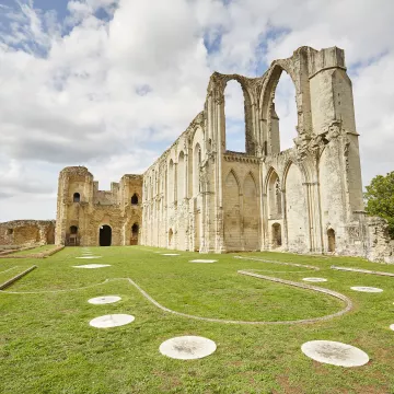 Explorateurs du Marais poitevin, une escapade au cœur de la Venise verte 