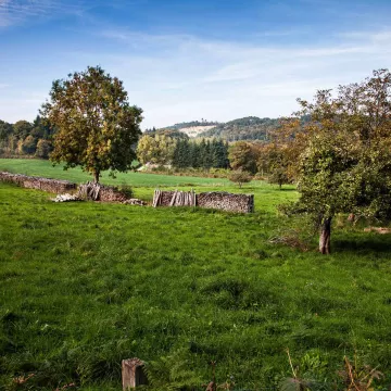Échappée magique dans les Alpes Mancelles