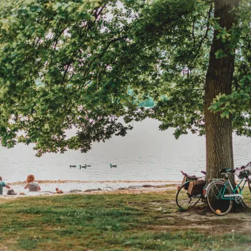 Échappée verte dans la Sarthe