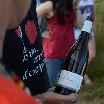 Visite chez Thierry Michon, le viticulteur star !