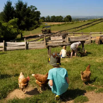 Mayenne en famille : petits bonheurs et grands souvenirs