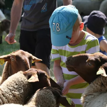 Parcours nature dans le Marais Poitevin