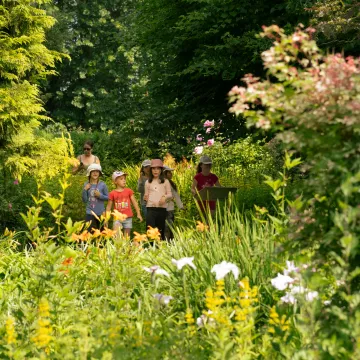 Échappée douce en Mayenne, entre jardins secrets et villages oubliés