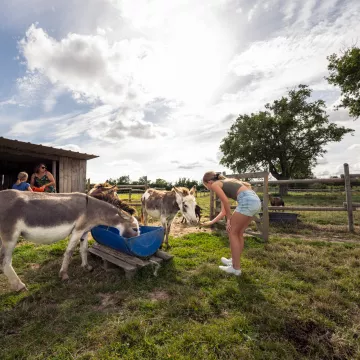 Séjour enchanté au cœur du sud Mayenne : un voyage gourmand et authentique 