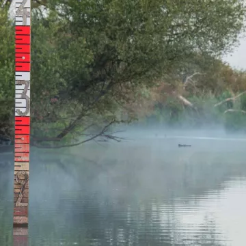 Le Lac de Grand-Lieu, paradis des oiseaux