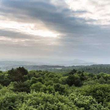 Le Mont des Avaloirs, Everest du grand Ouest !