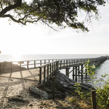 Escapade gourmande et authentique à Noirmoutier, entre terre et mer 