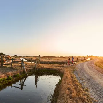Découvrez le Marô, le Marais Breton-Vendéen