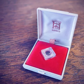 5 curiosités de musées à découvrir !