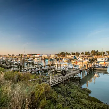 Au fil de l’eau : 4 jours à vélo entre océan et Marais Breton Vendéen 
