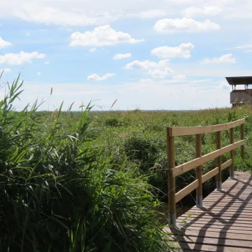 Que faire dans le parc naturel régional de Brière ? 
