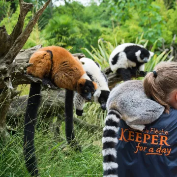 Sarthe : rendez-vous avec l’inattendu