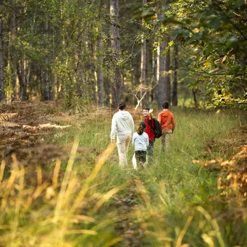 Itinéraire insolite entre histoire et terroir dans le Perche Sarthois