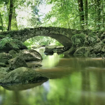 Pontmain, entre contemplation et inspiration 