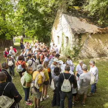 Des événements viticoles étonnants !