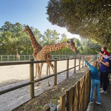 Des sorties très nature aux Sables-d’Olonne