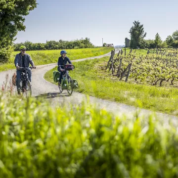 Le vignoble à vélo dans la Vallée du Loir 