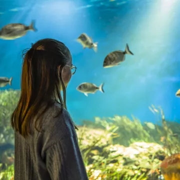 Escapade hivernale en bord de mer, la douceur vendéenne 