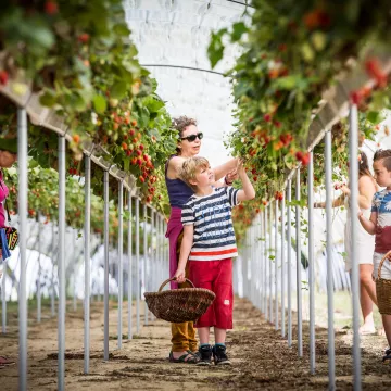 Destination Pornic : succombez à ses produits du terroir