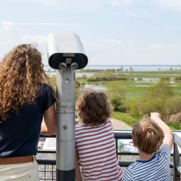 Virée autour du lac de Grand-Lieu, au pays des oiseaux