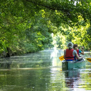 Escapade en Sud-Vendée aux portes du Marais Poitevin 