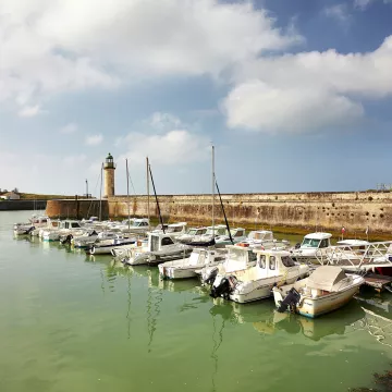 Cinq ambiances nature dans le Pays de Saint-Gilles-Croix-de-Vie