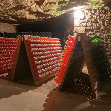 Visites insolites de maisons à fines bulles