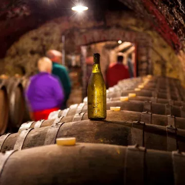 Explorez la Vallée du Loir pour goûter à ses vins blancs fruités 