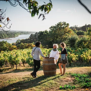 La Loire au vert, entre vignes et patrimoine 