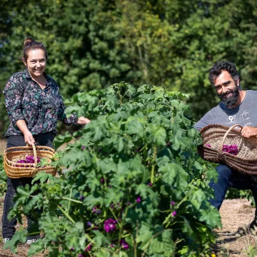 Des labels pour un tourisme à la ferme ou dans les vignes en Pays de la Loire