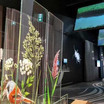 Deux visites à faire à Saint-Nazaire et aux alentours !