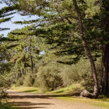 Simon Bourcier Vendée Expansion