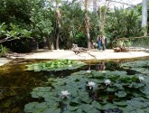 Terra Botanica, un jardin extraordinaire !