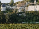 Visitez les vignobles d’Anjou Saumur !