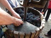Musée de la vigne et du vin d'Anjou