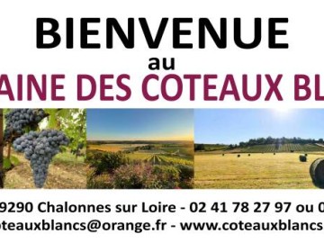 © Domaine des Coteaux Blancs