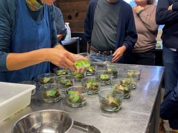Atelier apprendre a cuisiner les algues alimentaires
