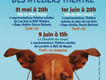 Les spectacles des Ateliers théâtre Du 31 mai au 9 juin 2024