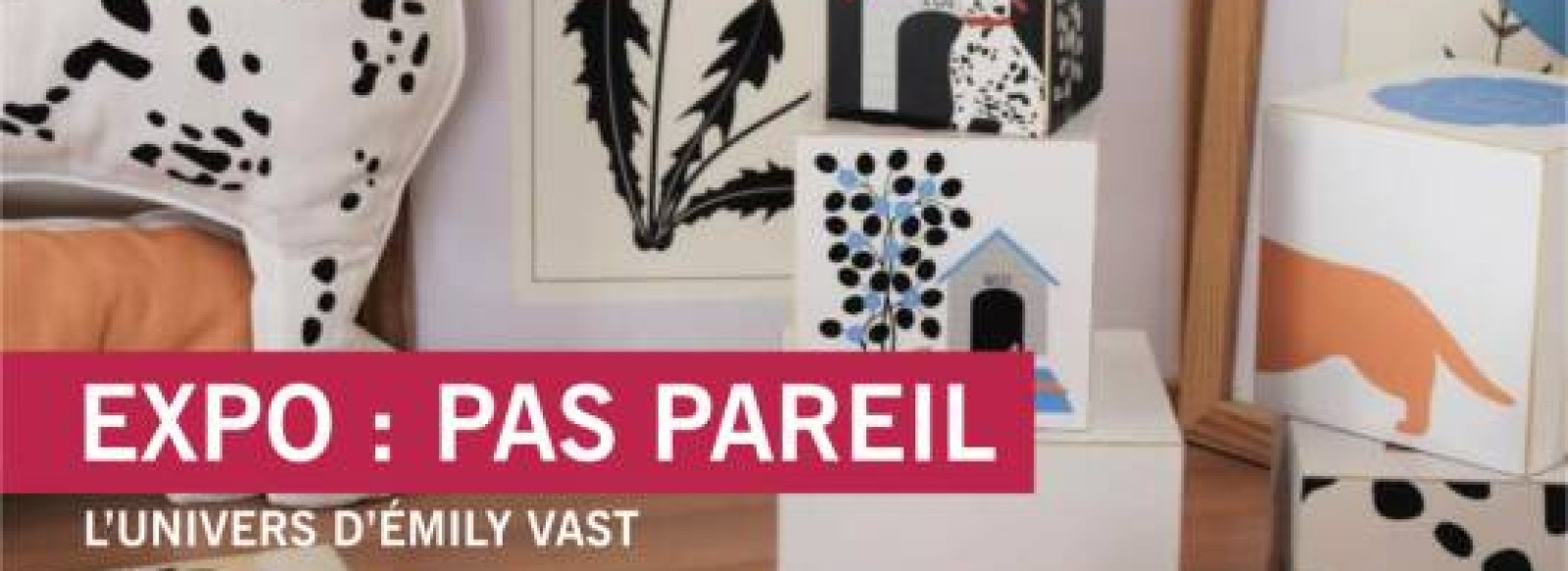EXPOSITION "PAS PAREIL"- EMILY VAST