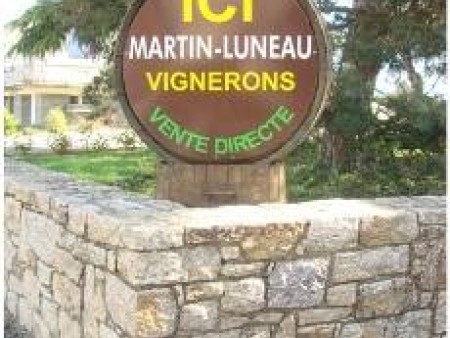 Domaine martin Luneau