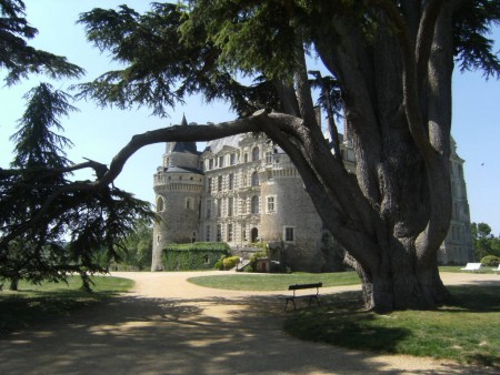 chateau de Brissac