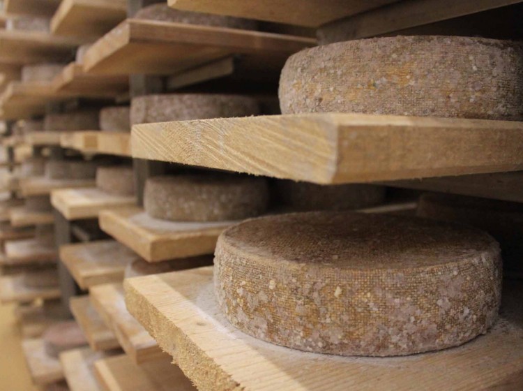 Fromagerie bio - Entrammes