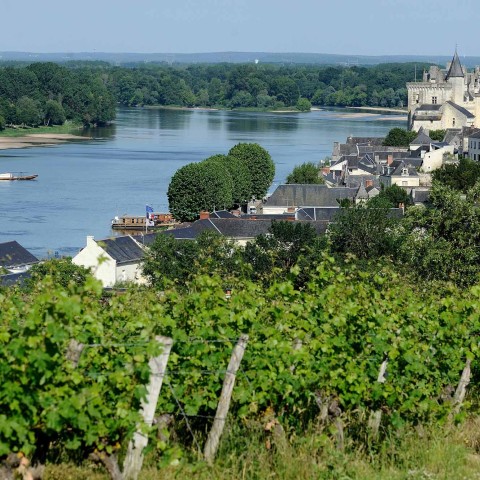 Découvrez La Loire à Vélo