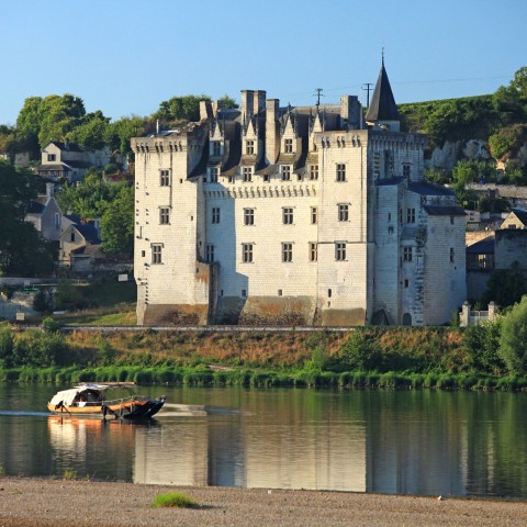 Visitez le château de Montsoreau : un château riche d’art et d’histoire 