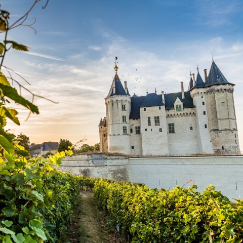 Vivez un moment d’évasion en visitant le château de Saumur